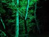 PXL_20220730_202409540.NIGHT_