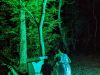 PXL_20220730_202437375.NIGHT_
