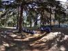 PXL_20220626_074054600.PHOTOSPHERE