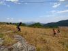 IMG_20220730_112757