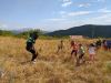 IMG_20220730_112812