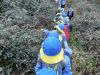 25-26-03-2023_Uscita_CC_Cambio_Code_Collebigliano_-22