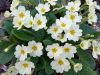 25-26-03-2023_Uscita_CC_Cambio_Code_Collebigliano_-37