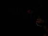 PXL_20230703_193314934.MP_