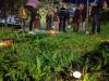 PXL_20230523_194215858.NIGHT_