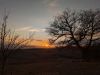 PXL_20231228_151651258.NIGHT_.RAW-01.COVER_