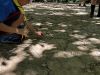 Nuotata_Estica_Castorini_2023_-197