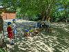 Nuotata_Estica_Castorini_2023_-300