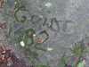 IMG-20230611-WA0006