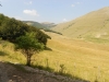 dscn0811