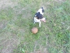 dscn0908