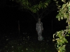 dscn0926