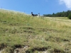 img_20120726_110712