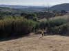 Campo EG Colle Alto Folignano 16-20 agosto 2021