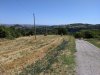 Campo EG Colle Alto Folignano 16-20 agosto 2021