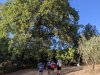 Campo EG Colle Alto Folignano 16-20 agosto 2021
