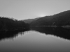 DSC06099