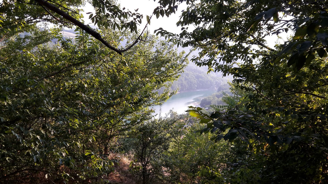 20150807_183528