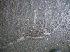 2007_03_27_071