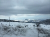 IMG-20150308-WA0029.jpg