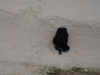 IMG-20150308-WA0056.jpg