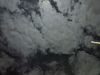Nuotata_Cagnano_01-2023_-140