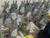 Nuotata_Cagnano_01-2023_-178